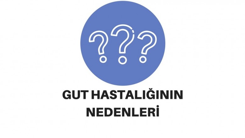 Gut (Nikris) Hastalığı Nedir?  Belirtileri ve Yasaklı Yiyecekler