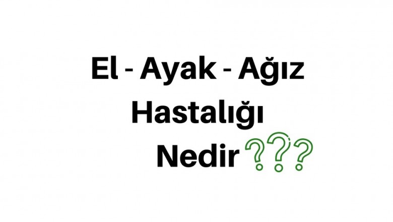El Ayak Ağız Hastalığında Yapılması Gereken 7 Madde
