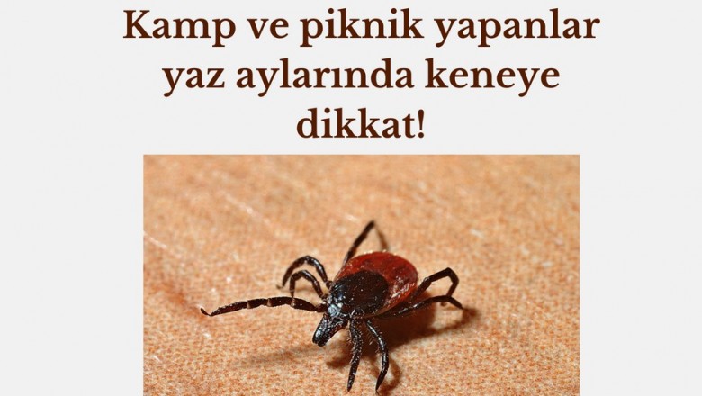  Kırım kongo kanamalı ateşi hastalığı (KKKA) nedir nasıl bulaşır? İşte belirtileri