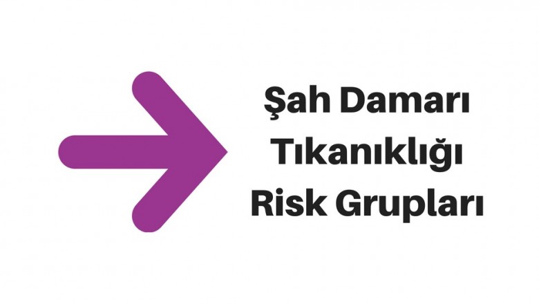 Şah Damarı (Karotis) Tıkanıklığı Nelere Yol Açar? Belirtileri ve Nedenleri
