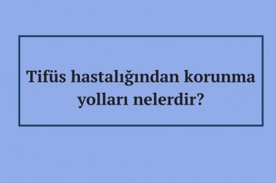 Tifüs hastalığı (Lekeli humma) nedir nasıl bulaşır?  Tifüs hastalığı belirtileri ve tedavisi